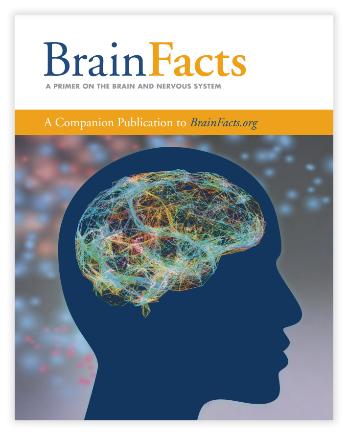 Brainfact Books