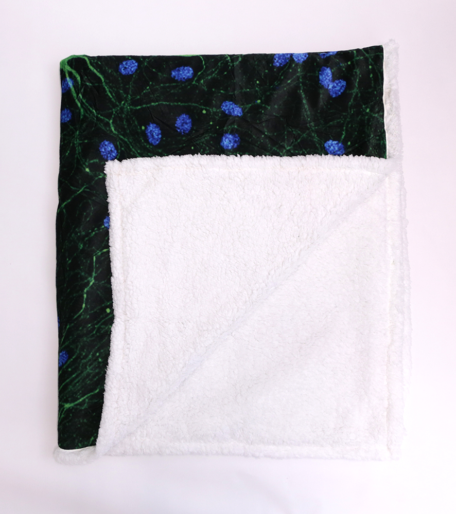 Blanket