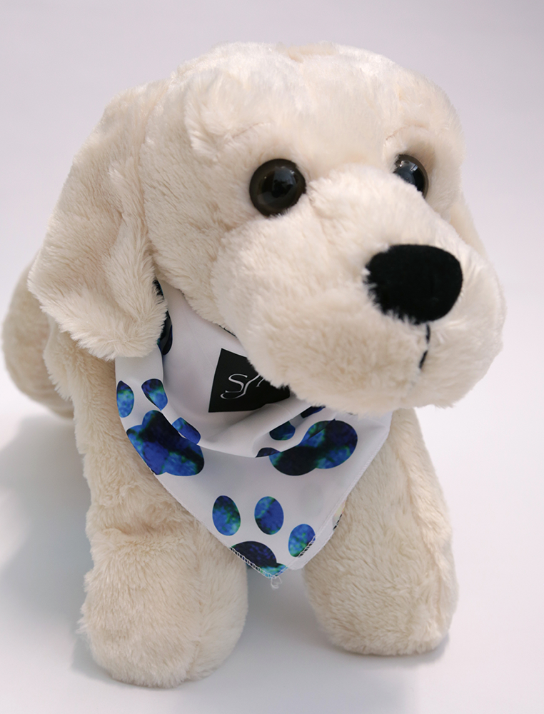 Pet Bandanas