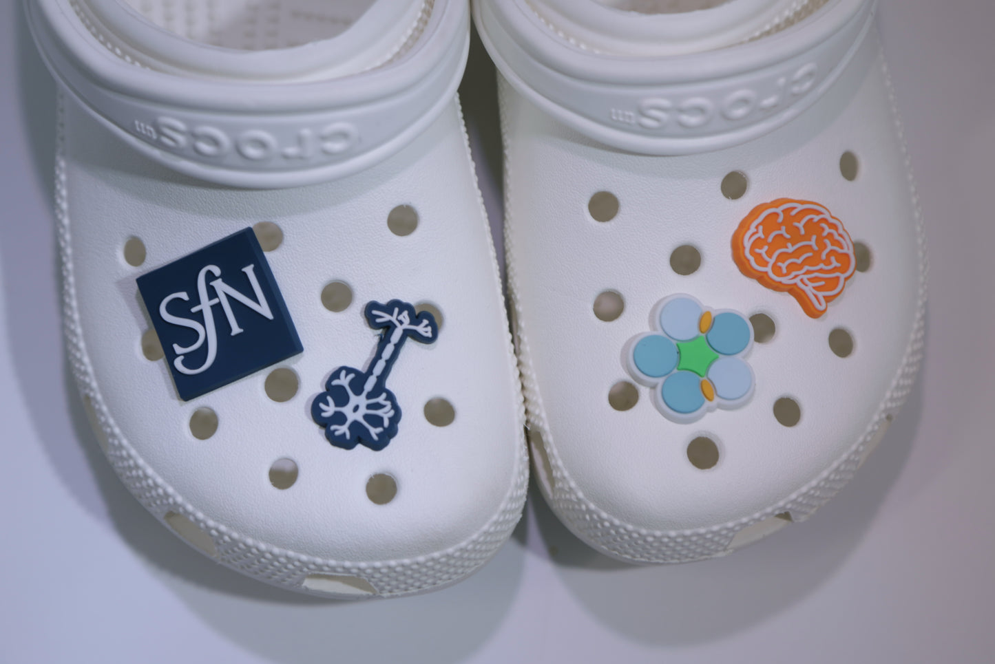 Jibbitz Charms