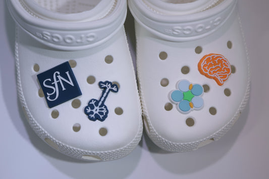 Jibbitz Charms