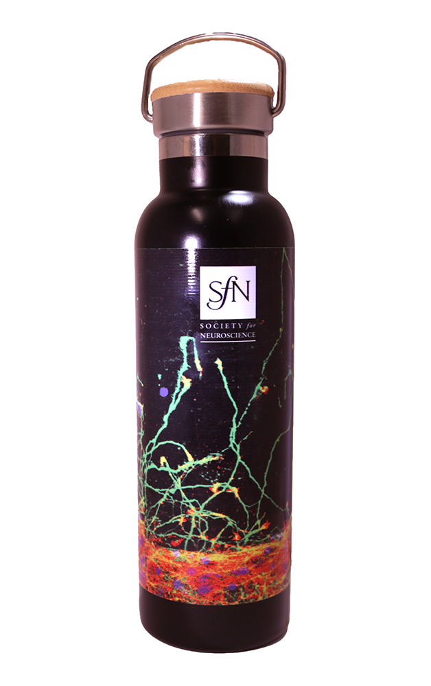 Insulated Water Bottle - 2024