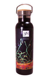 Insulated Water Bottle - 2024
